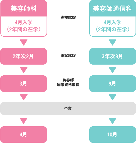 スケジュール