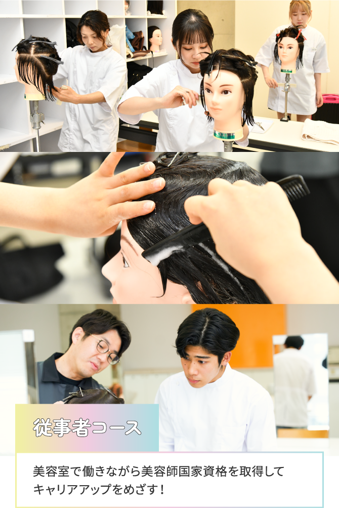 従事者コース